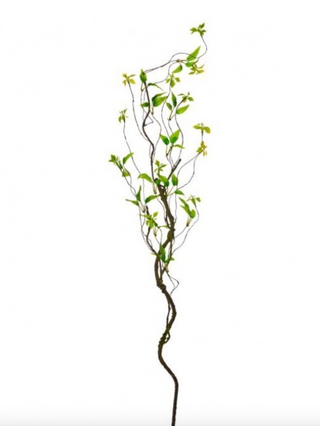 48" Wild Smilax Vine