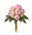 Blush Pink