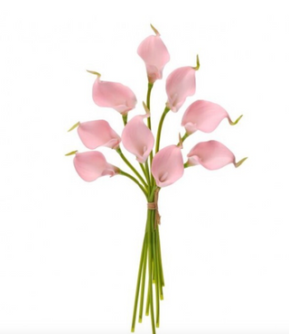 14" Mini Callas Lily Bundle
