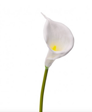 28" White Callas Lily Stem