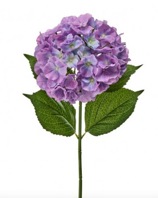 30" Jumbo Purple Hydrangea