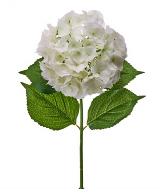 30" Jumbo Hydrangea in White