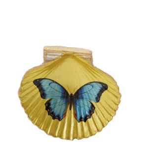 Resin Shell Shaped Magnet w/ Flora/Fauna Image