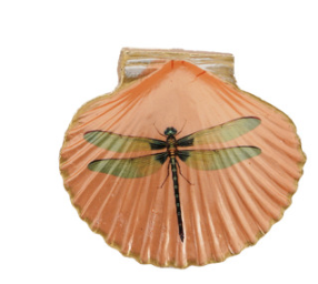 Resin Shell Shaped Magnet w/ Flora/Fauna Image