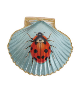 Resin Shell Shaped Magnet w/ Flora/Fauna Image