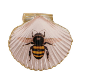 Resin Shell Shaped Magnet w/ Flora/Fauna Image