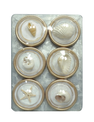 Set of 6 Resin Convex Magnets on Metal Card with Shells