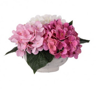 Hydrangeas in Vase