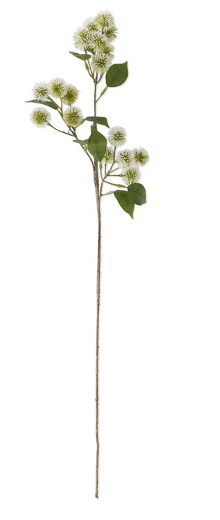 29" White w/Green Globe Amaranth Stem