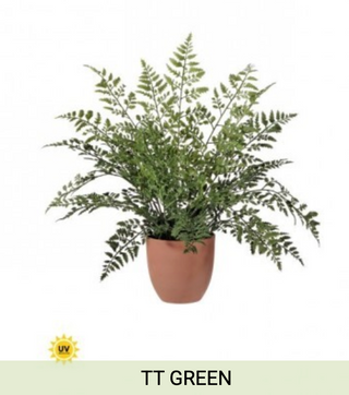 UV NATURAL TCH MAIDEN FERN 19"
