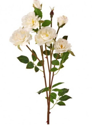 24" Just Cut Rambling Rose