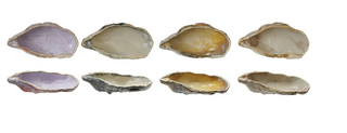 Stoneware Oyster Shell Shaped Dish