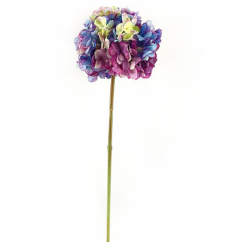 Dried Touch Hydrangea Stem Purple