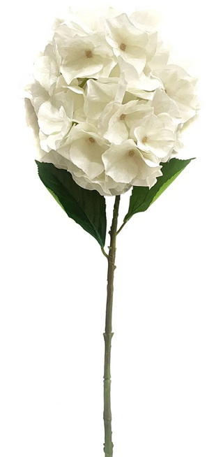 Cream White Jardin Hydrangea Stem