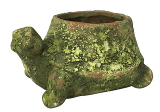 Small Mossy Terra Cotta Turtle Planter