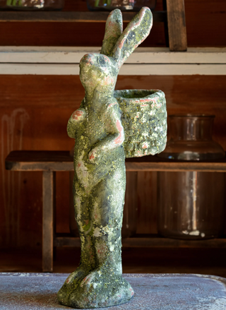 Aged Gathering Rabbit
