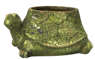 Large Mossy Terra Cotta Turtle Planter