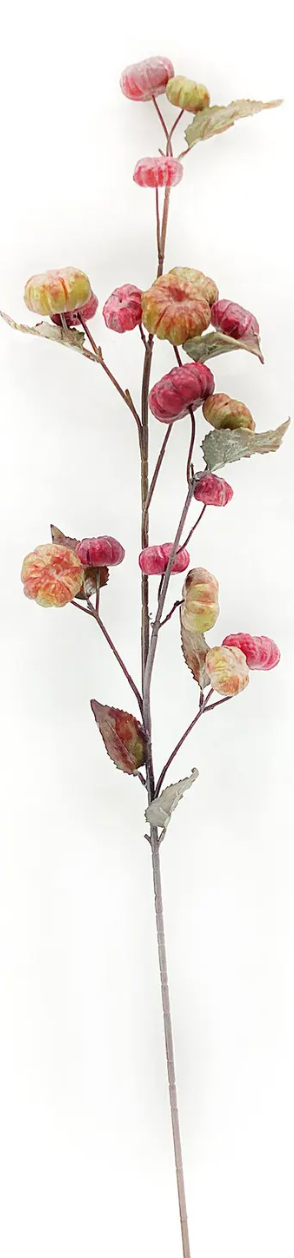 Dried Pumpkin Stem Ruby