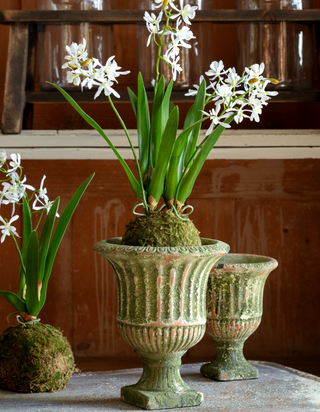 Age Garden Urn Large