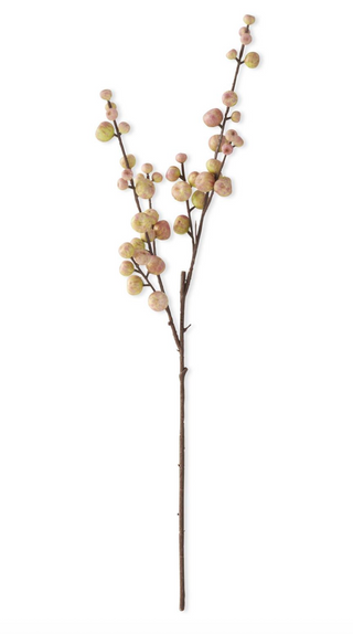 28 Inch Crabapple Stem