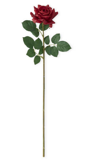 25 Inch Red Real Touch Duchess Rose Stem