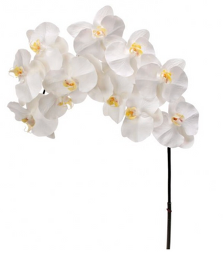 42" Natural Touch White Grand Phalaenopsis