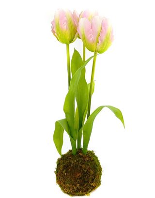 Tulips Light Pink In Moss Ball