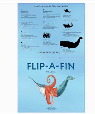 Flip-A-Fin Sea Creature Mix-and-Match Flip Book