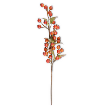 32 Inch Burnt Orange Rosehip Stem