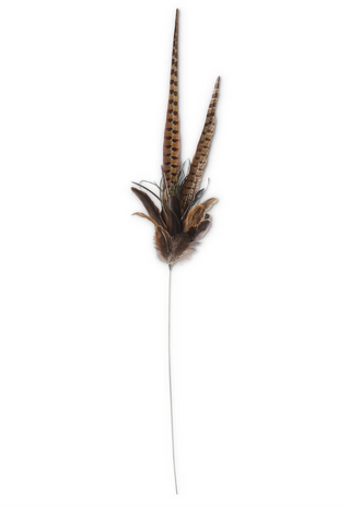 39 Inch Mixed Pheasant Feather Spray