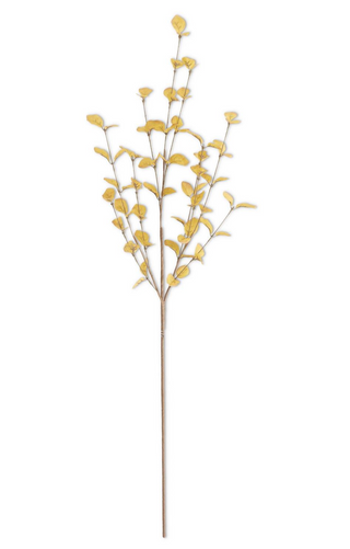 34 Inch Eucalyptus Stem