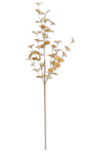 34 Inch Eucalyptus Stem