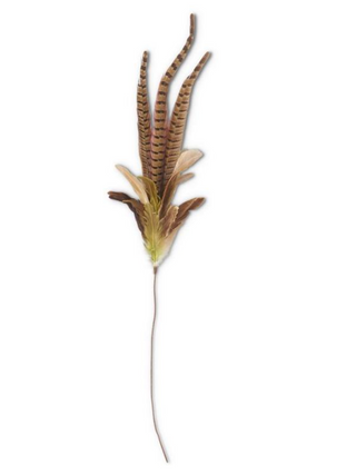 34 Inch Ring Neck Feather Spray With Green Feathers