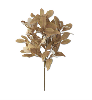 18.5 Inch Yellow Green Laurel Bush