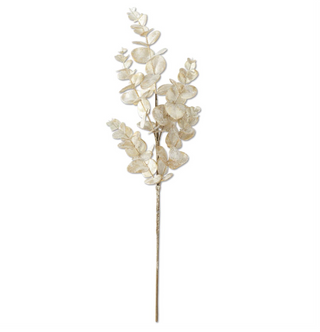 26 Inch Snowy Champagne Eucalyptus Stem