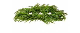 36" Real Touch Cedar & Norfolk Pine Centerpiece