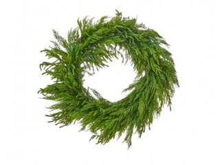36" Real Touch Cedar & Norfolk Pine Wreath