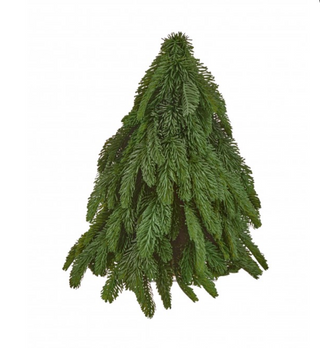 17" Real Touch Noble Fir Down Swept Tree