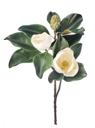 29" Veranda Magnolia