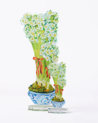 Paperwhites | Acrylic Floral