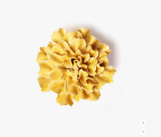 Burnt Yellow Tundra Carnation