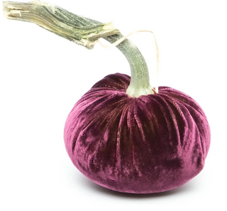 Eggplant Silk Velvet Pumpkin