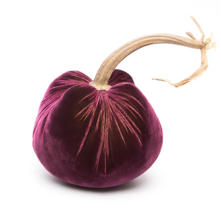 Eggplant Silk Velvet Pumpkin