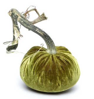 Cactus Silk Velvet Pumpkin