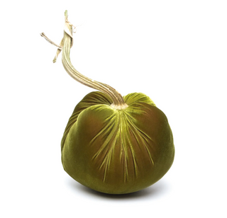 Cactus Silk Velvet Pumpkin
