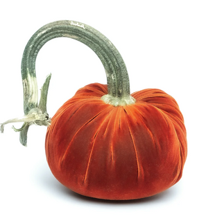 Apricot Silk Velvet Pumpkin