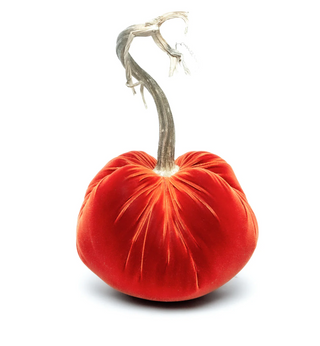 Apricot Silk Velvet Pumpkin