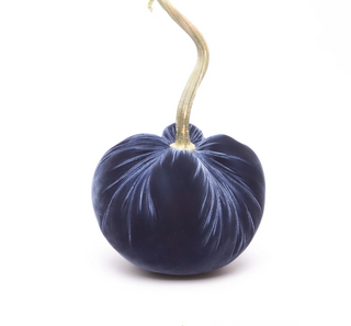 Sapphire Silk Velvet Pumpkin