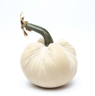 Cream Silk Velvet Pumpkin