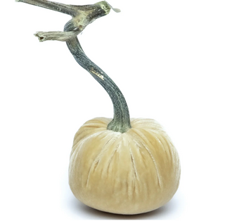 Husk Silk Velvet Pumpkin